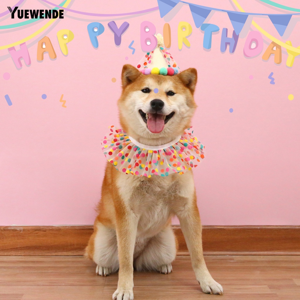 1 Set Băng Đô Và Nón Chụp Ảnh Cho Thú Cưng