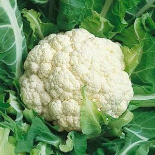 Hạt Giống Súp Lơ ( Xanh 0.1gram - Trắng 0.2gram )