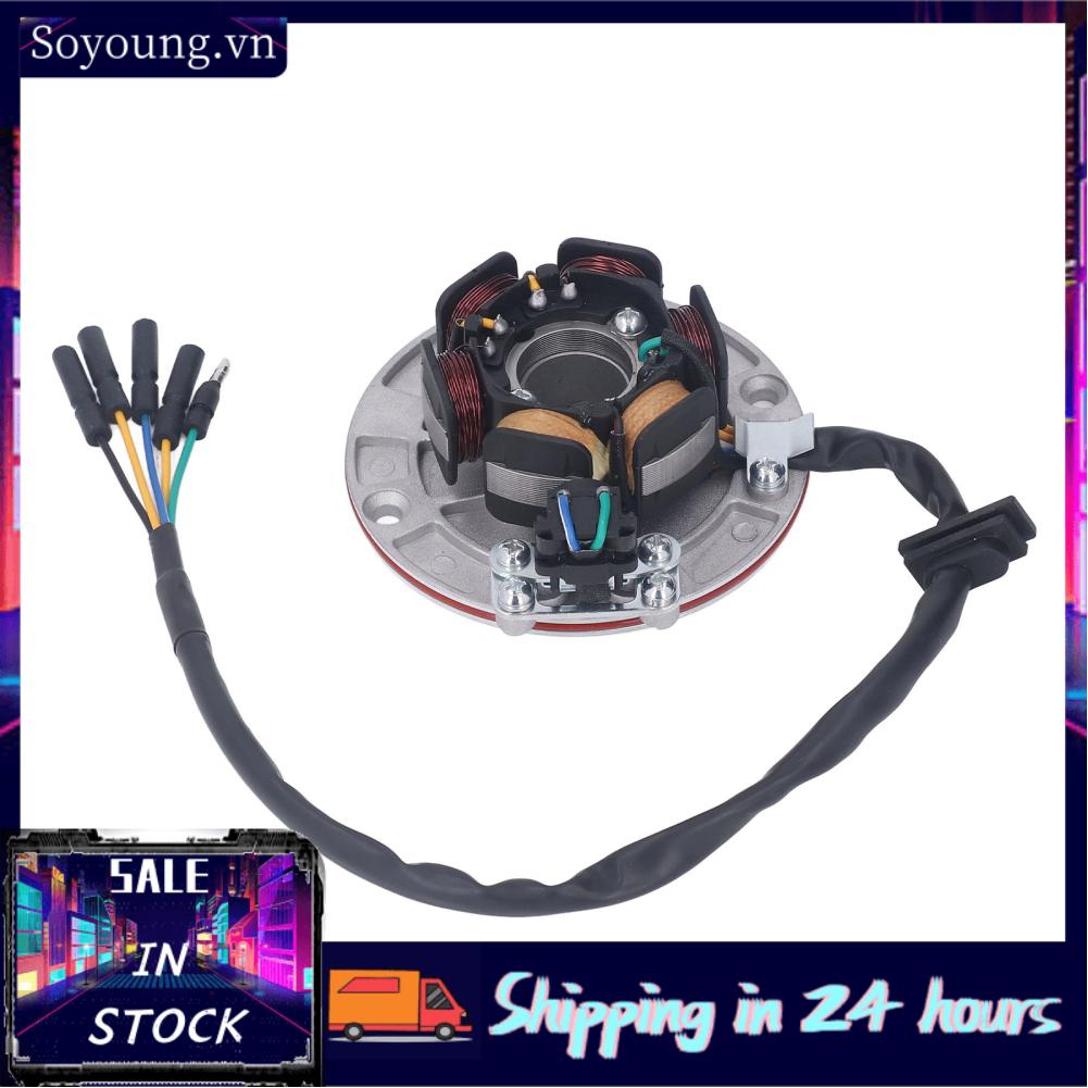 Soyoung Ignition Stator Rotor  Powerful Increase Intensity 75.10mm Coil Diameter 100.19mm Mounting Hole Magneto Flywheel for Motorcycle