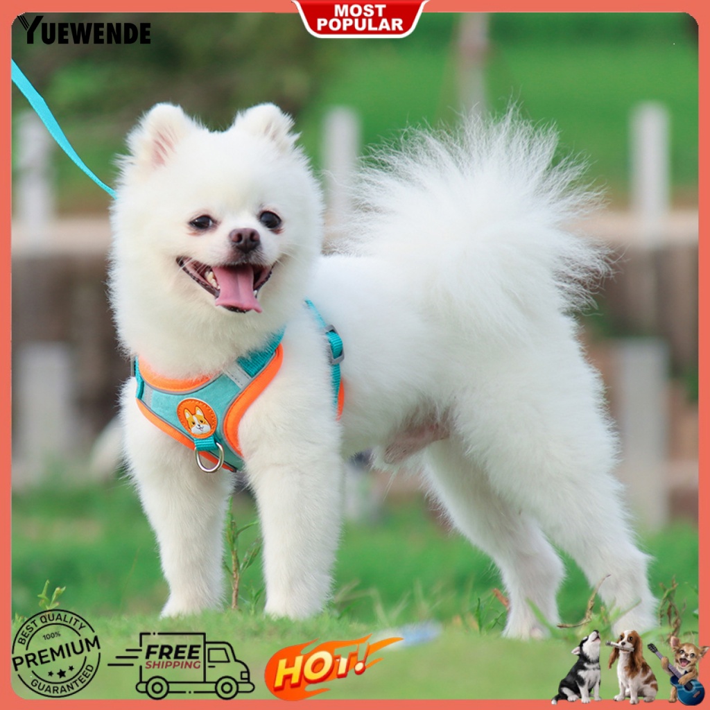 Set 2 Dây Dắt Thú Cưng Đi Dạo Thân Thiện Với Môi Trường Màu Sắc Tương Phản