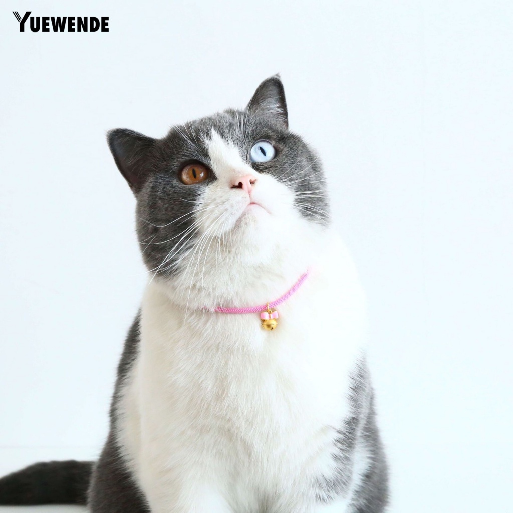 Vòng Cổ Màu Trơn Đính Chuông Cho Thú Cưng