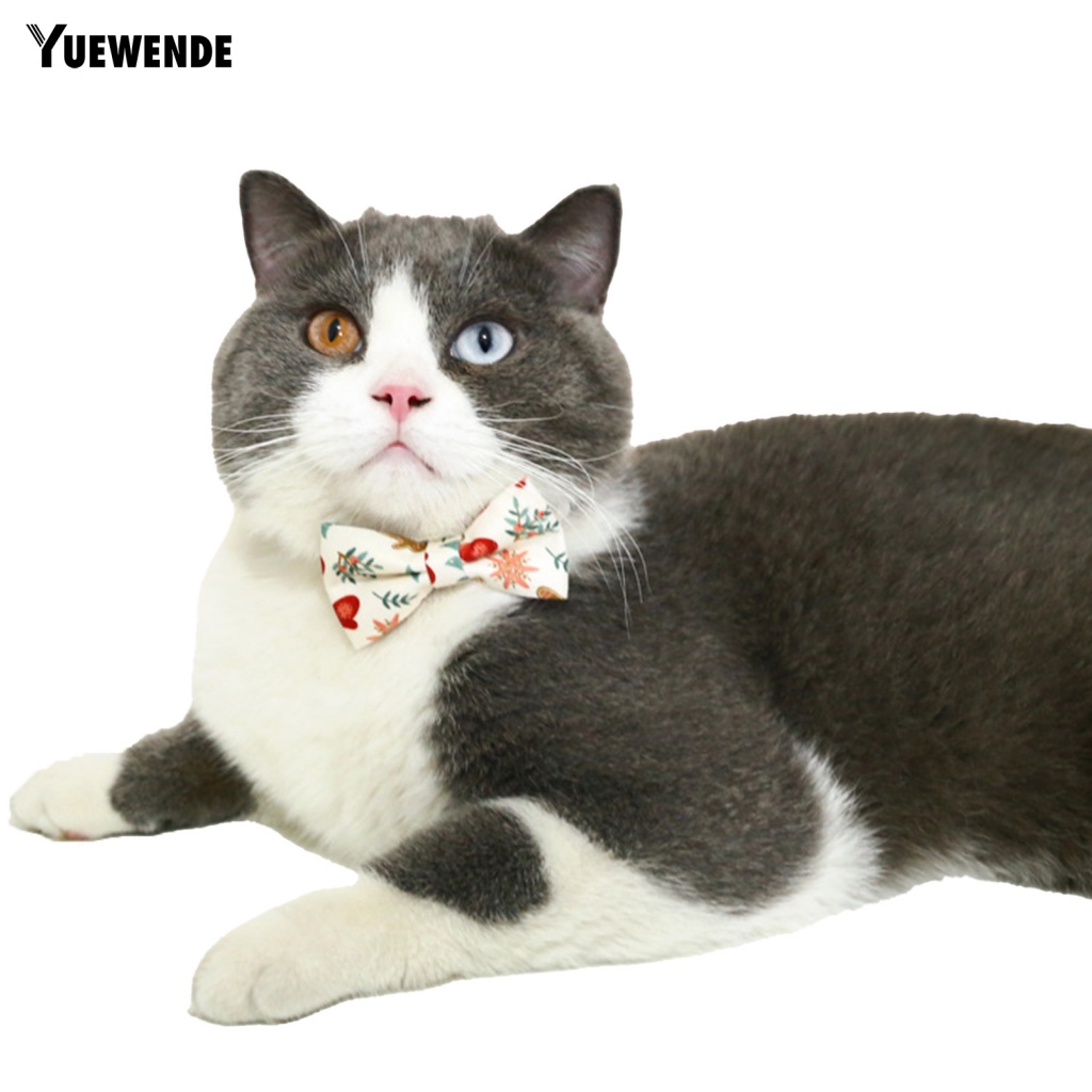 Vòng Cổ MềM MạI Cho Thú Cưng