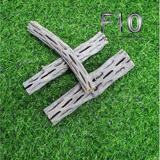 Lũa cholla - lũa xương rồng - đồ chơi tép kiểng - dán ráy. bucep. rêu - shop chuyên sỉ phụ kiện thủy sinh