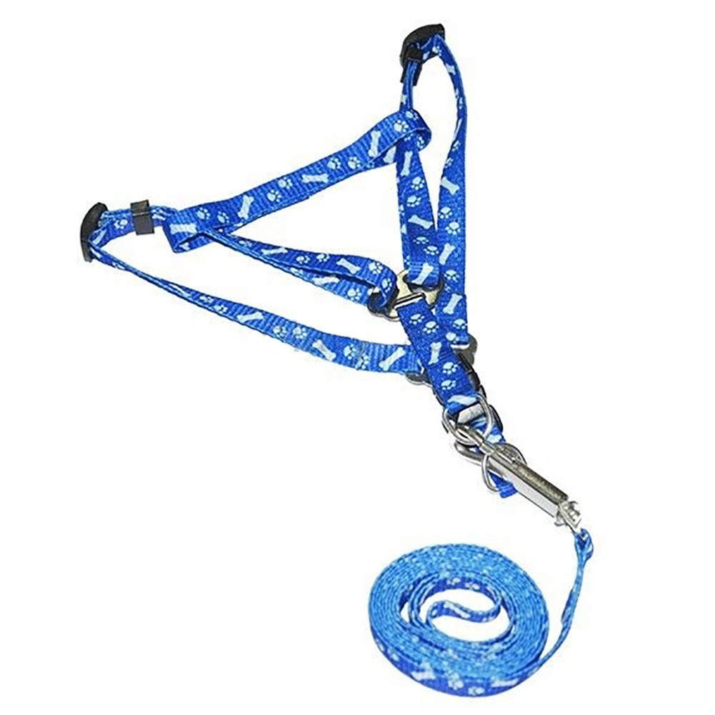 Dây Xích Chó cưng có dây nịt xương chân mèo in hình Thỏ con chó con dây kéo an toàn