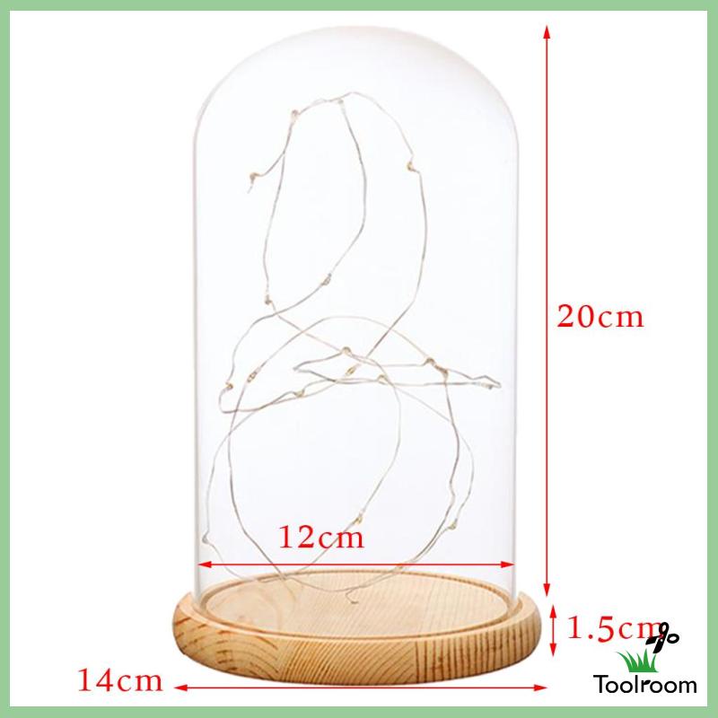 [Toolroom] Đèn LED Kính Cloche Để Bàn Chạy Bằng Pin A