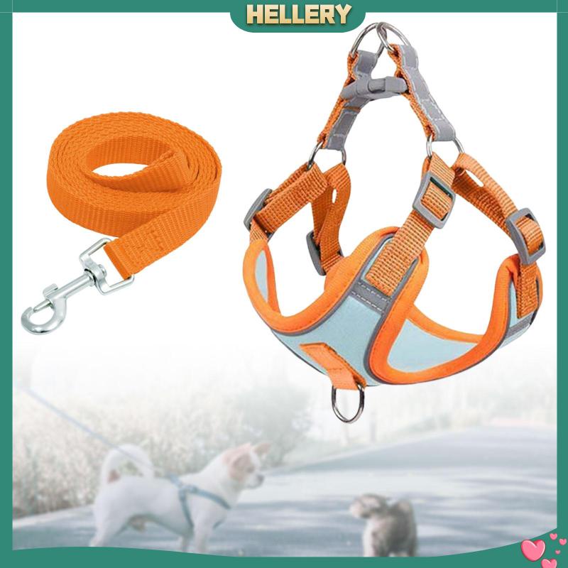 Đai Dắt Thú Cưng Đi Dạo Mềm Mại Trọng Lượng Nhẹ
