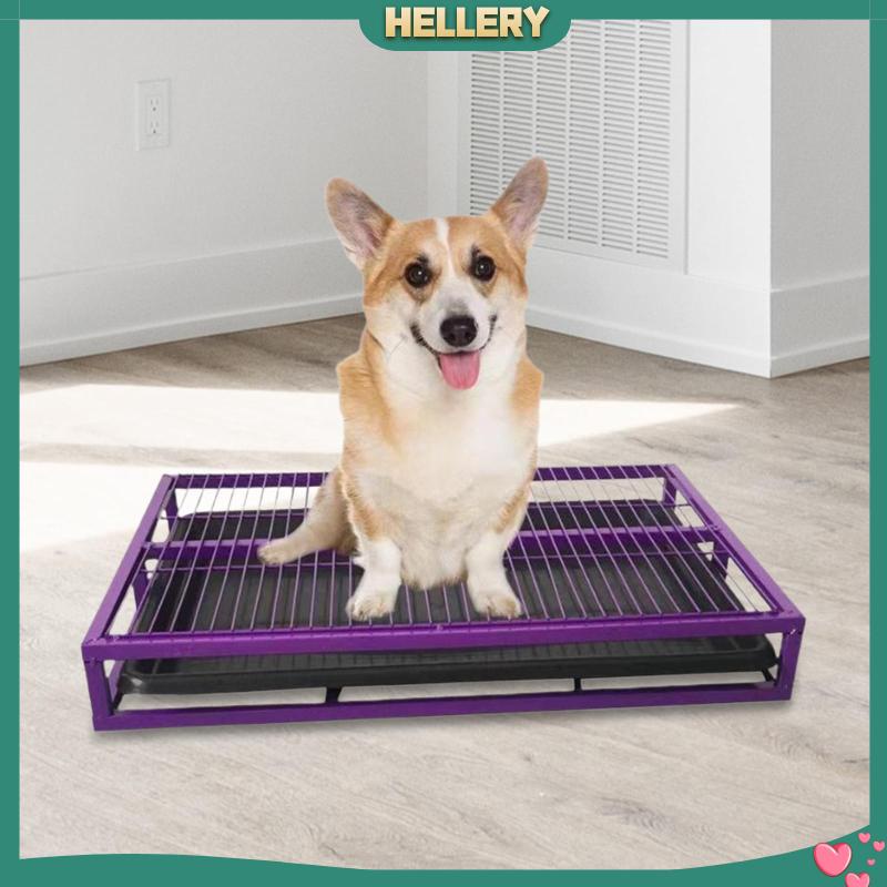 Hộp Đi Vệ Sinh Chống Văng Cho Thú Cưng