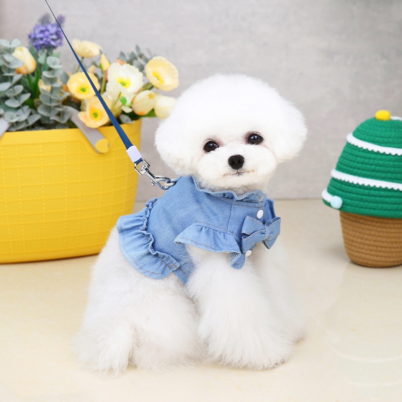 Đầm Jean Cotton Trang Phục Mùa Hè Dễ Thương Có Dây Xích Và Vòng Đeo Cho Chó Mèo Size Xl