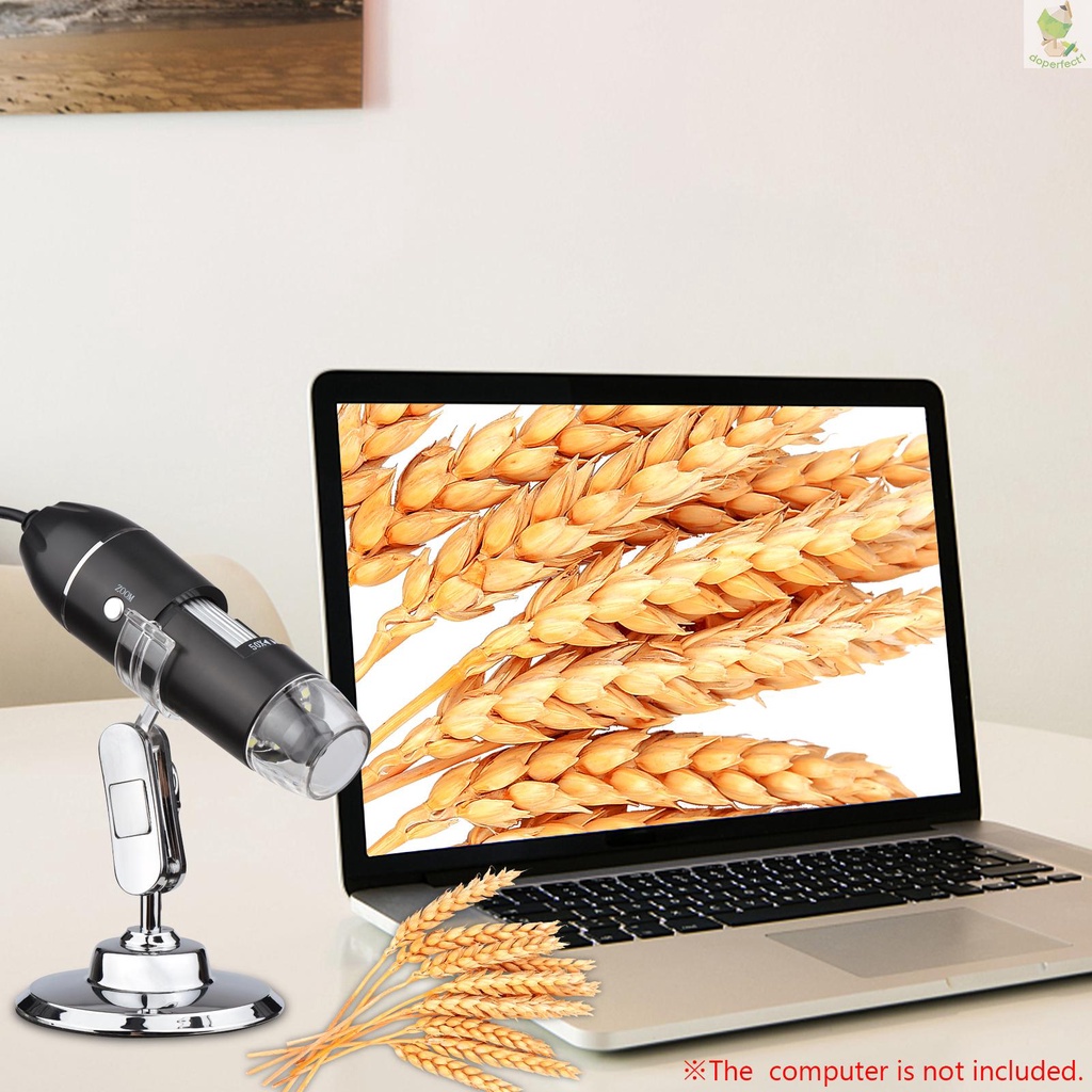 1000X USB Portable Mini Electronic Microscope Handheld Digital Magnifier for Laptop Desktop Insect Skin Plant Observatio   Came-6.5