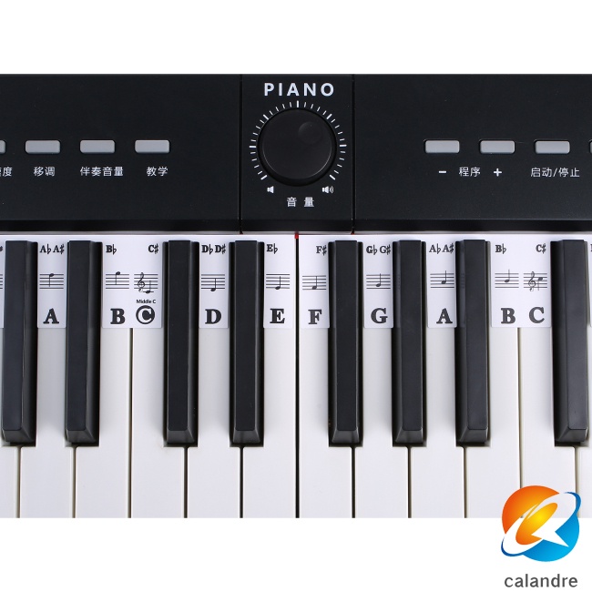 Nhãn Dán Ghi Chú 88 Phím / 61 Phím Cho Đàn Piano Tiện Dụng