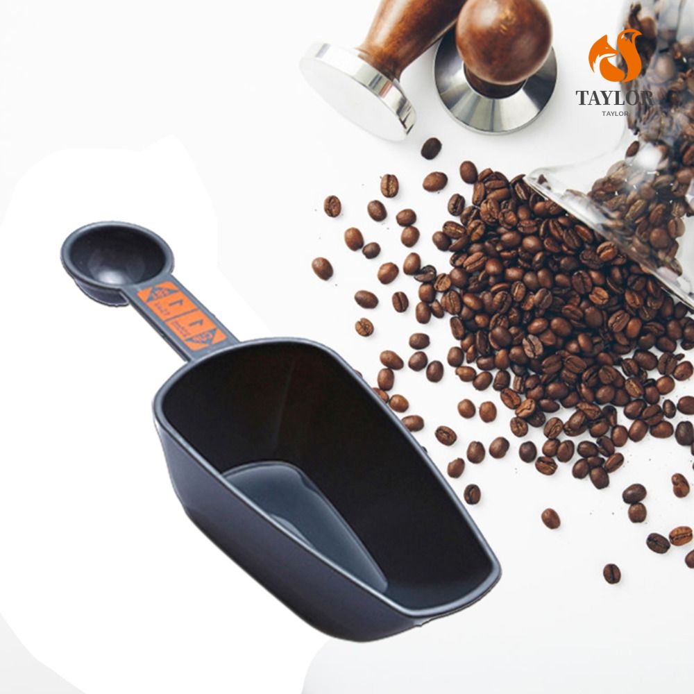 Muỗng Múc Cà Phê / Bánh Kem Chia Tỉ Lệ 1 / 4 / 1 Thiết Kế Hai Đầu Đa Năng Tiện Dụng DIY