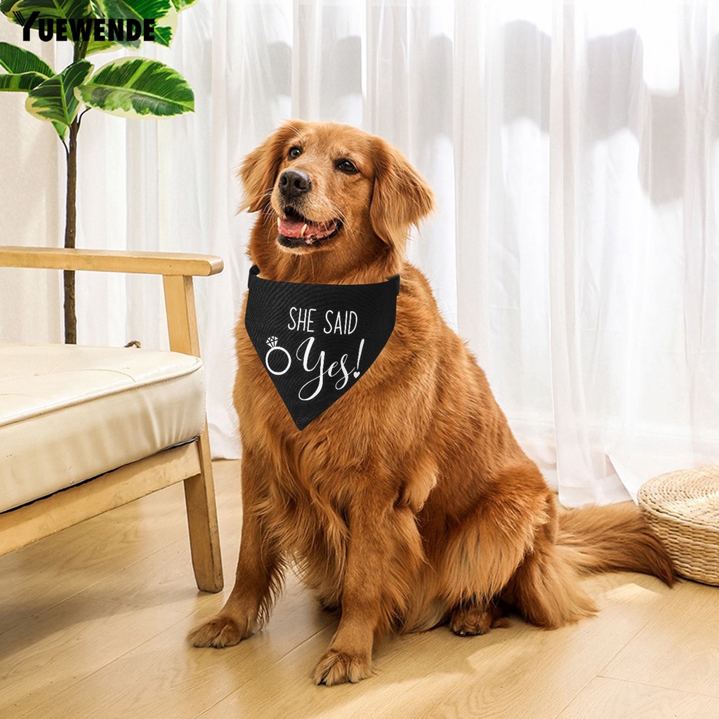 Yq.e Vòng Cổ Bằng Vải Bạt Tinh Tế Chống Dơ Có Thể Điều Chỉnh Cho Thú Cưng Hàng Ngày