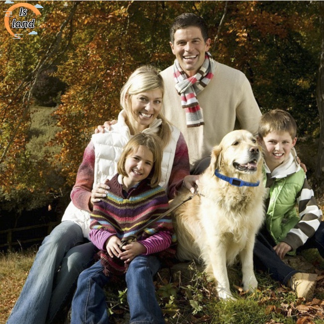 Vòng Cổ Định Vị Gps D35 Theo Dõi Giọng Nói Với Hệ Thống Wifi Chống Thất Lạc Cho Thú Cưng