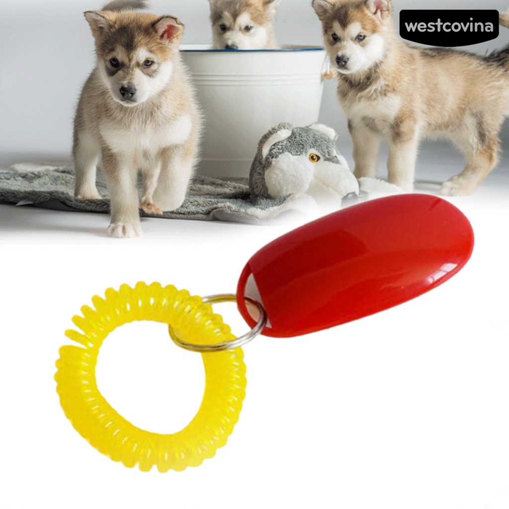 [COD]♞Dụng Cụ Huấn Luyện Thú Cưng Chống Mòn Không Phai Màu Tiện Dụng