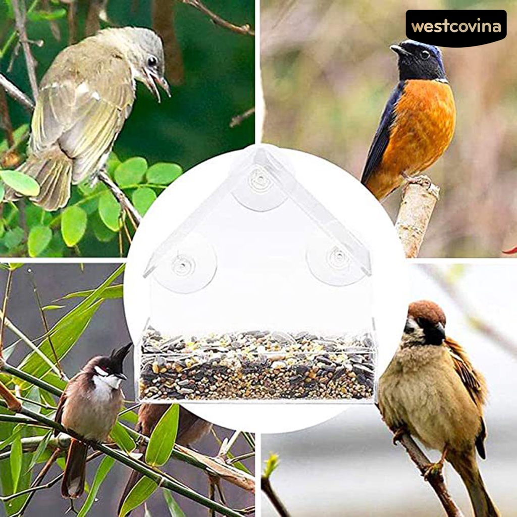 [COD]♞Khay Đựng Thức Ăn Dung Tích Lớn Thiết Kế Cốc Hút Chống Mài Mòn Tiện Dụng Cho Chim Cảnh
