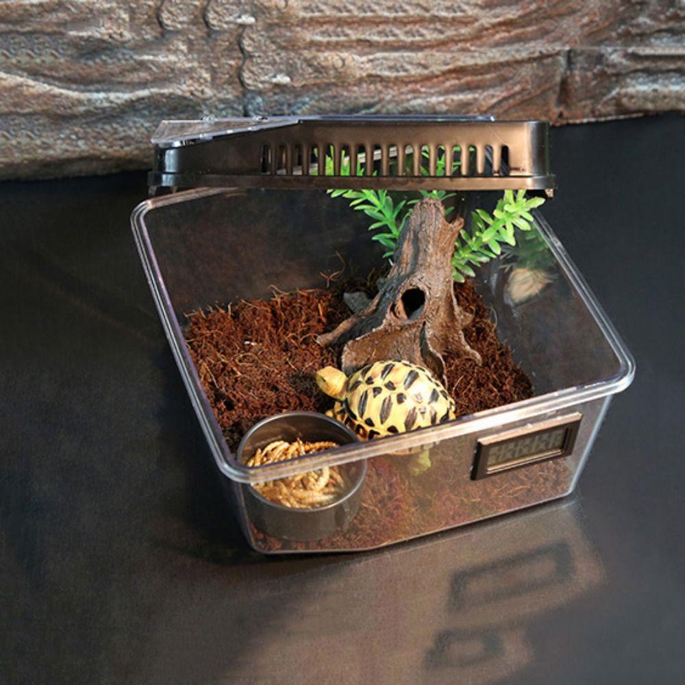 GIOVANNI Hộp Nhựa Nắp Lật Trong Suốt Chống Côn Trùng Cho Bò Sát