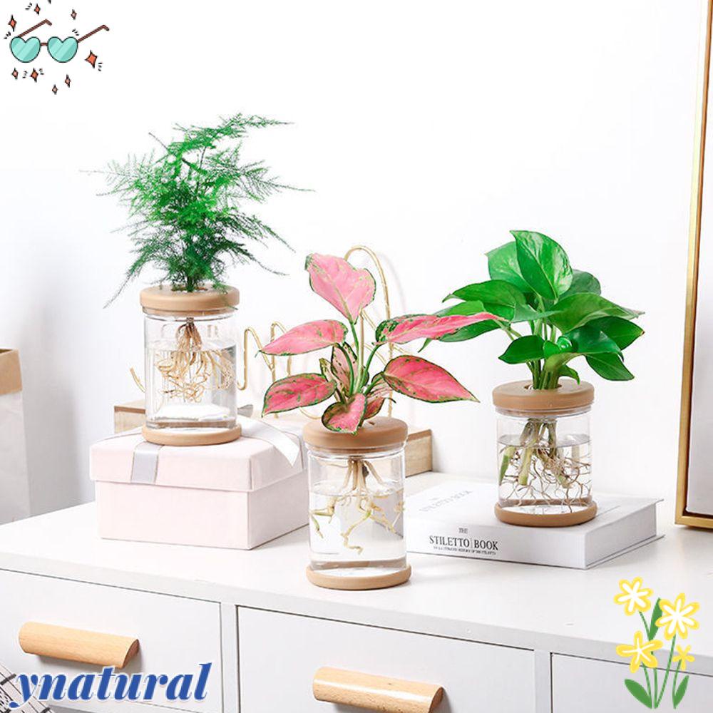 YNATURAL Chậu Hoa Thủy Canh Kiểu Dáng Đơn Giản Trang Trí Nhà Cửa / Văn Phòng