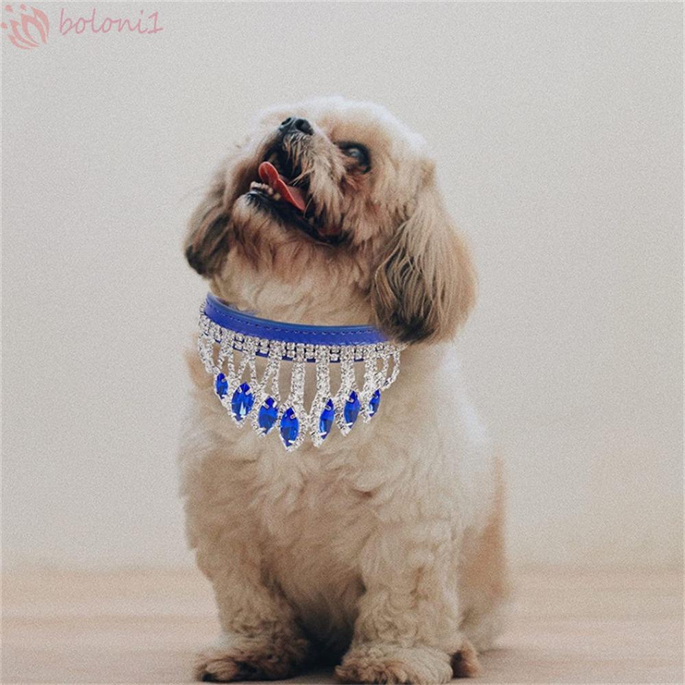 [COD] Vòng Cổ Chó Mèo Đính Đá Giả Kim Cương Chống Thất Lạc Năm 2023