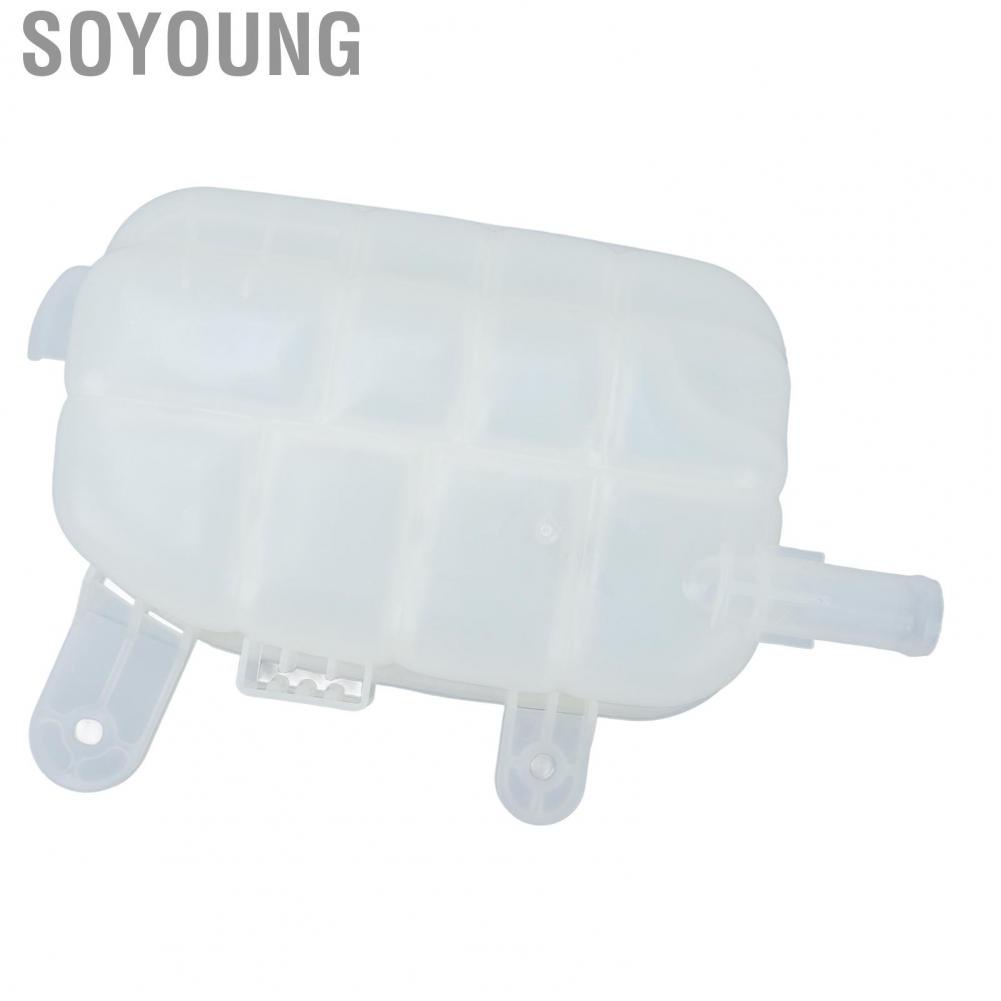 Soyoung Coolant Radiator Expansion Tank Abrasion Resistant High Temp OEM Design ABS Plastic Leak Proof 95380033 for Trax
