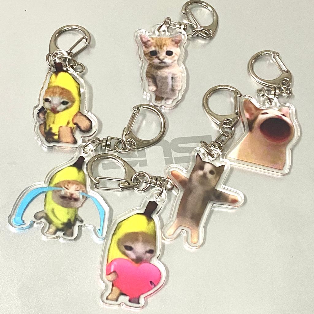 Móc Khóa Acrylic Hình Chú Mèo Đang Khóc Vui Nhộn Cho Bé
