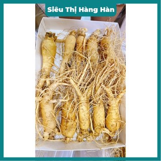 SÂM TƯƠI HÀN QUỐC 1/5;6;7;;9;10 củ