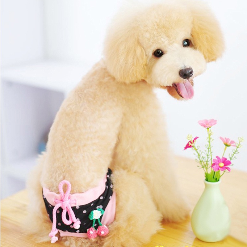 Chó dễ thương sinh lý quần lót tã quần vệ sinh dễ thương phim hoạt hình động vật