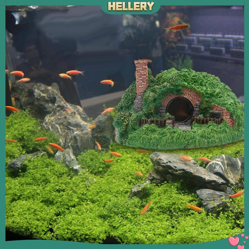 Hang Hang Hang Động Dùng Trang Trí Bể Cá