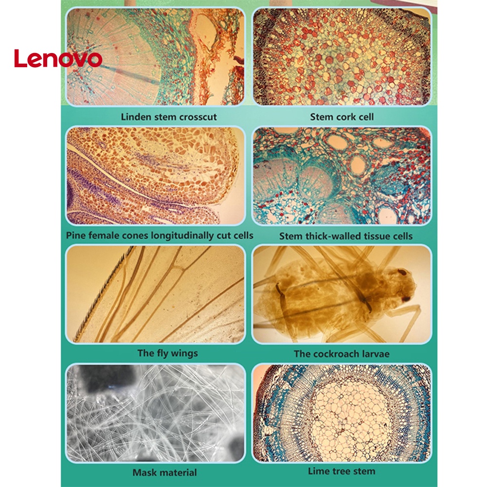 Kính Hiển Vi Phóng Đại 400X Chuyên Dụng Cho Điện Thoại / Máy Ảnh