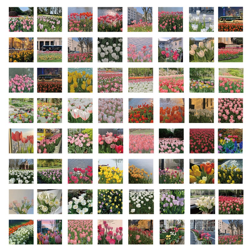 Bộ 63 Miếng Dán Trang Trí Điện Thoại Hình Hoa Tulip Xinh Xắn