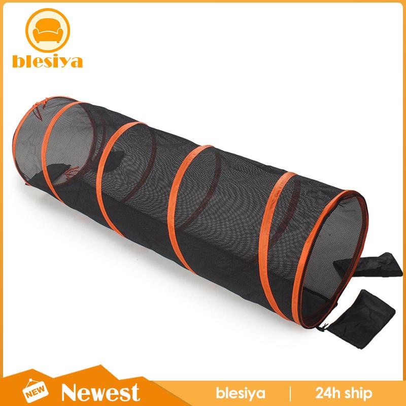 Đường Hầm Đồ Chơi Cho Mèo Cưng