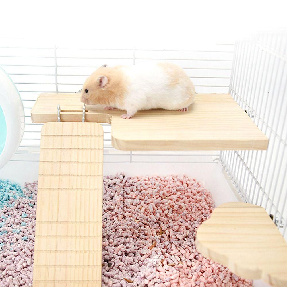Bernardo Đèn Led Bằng Gỗ Tự Nhiên Trang Trí Lồng Chim Vẹt Chuột Hamster