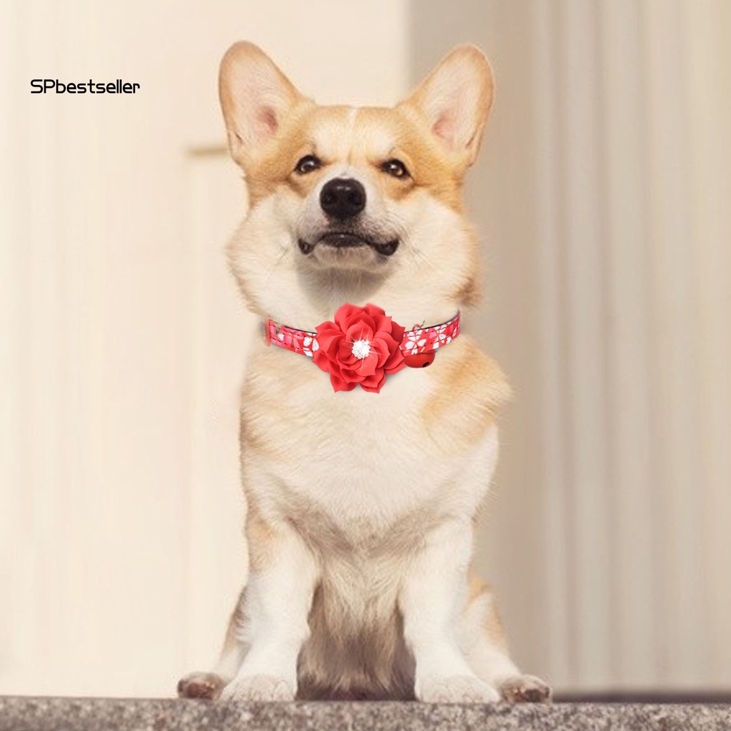 Vòng Cổ Hình Hoa Tháo Rời Được Thoải Mái Dành Cho Thú Cưng Trong Nhà