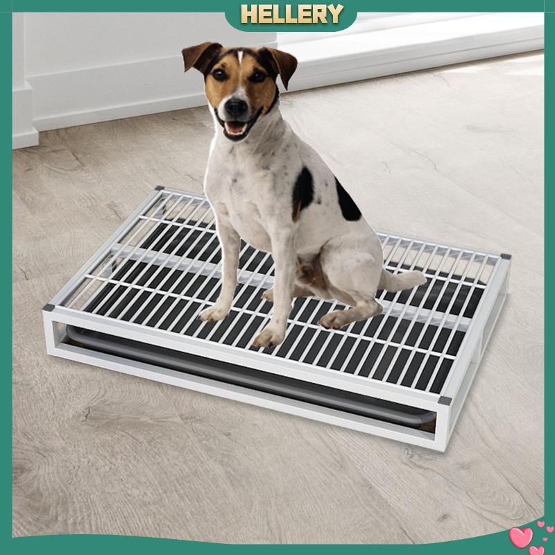 Toilet Huấn Luyện Thú Cưng Đi Vệ Sinh Tái Sử Dụng Tiện Lợi