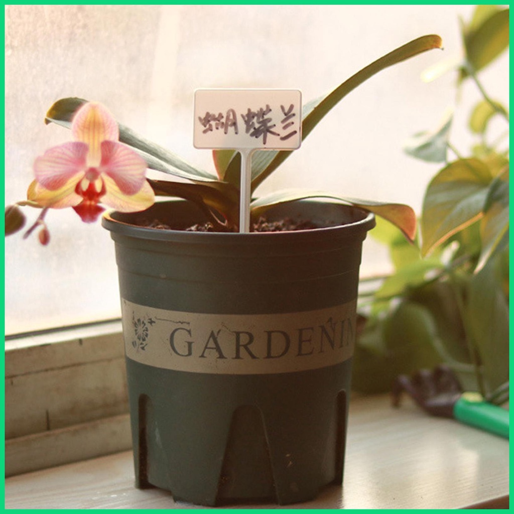 Set 12 Nhãn Chữ T Đánh Dấu Cây Trồng Trong Nhà Kính