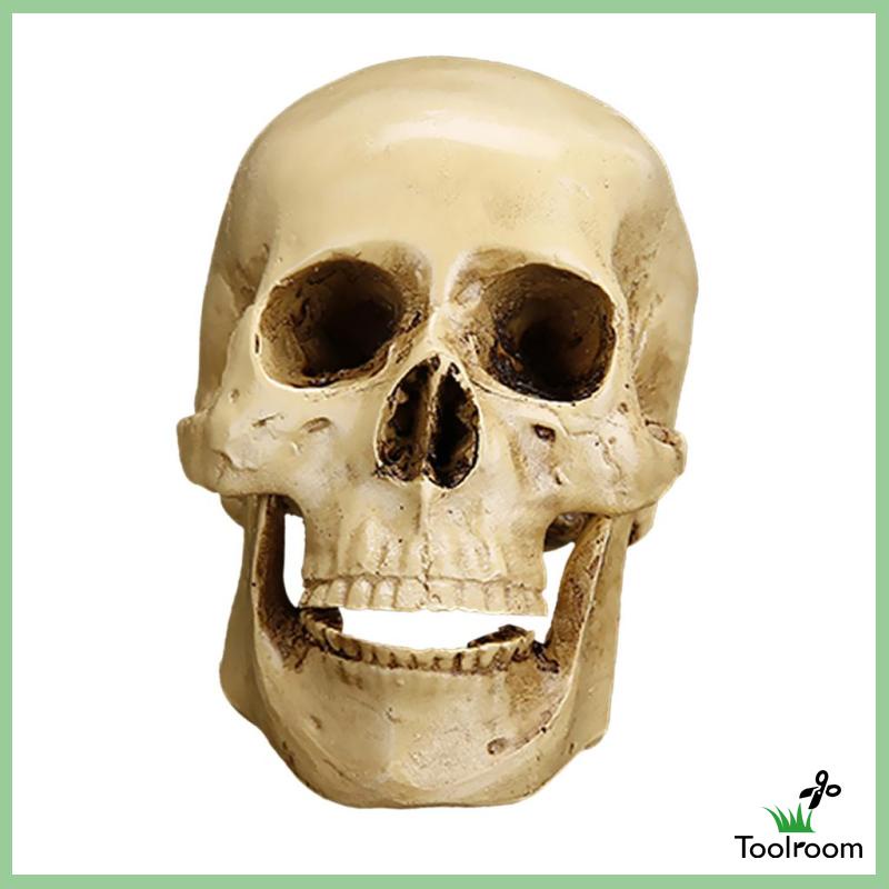 Mô Hình Đầu Lâu Phong Cách Gothic Trang Trí Nhà Cửa