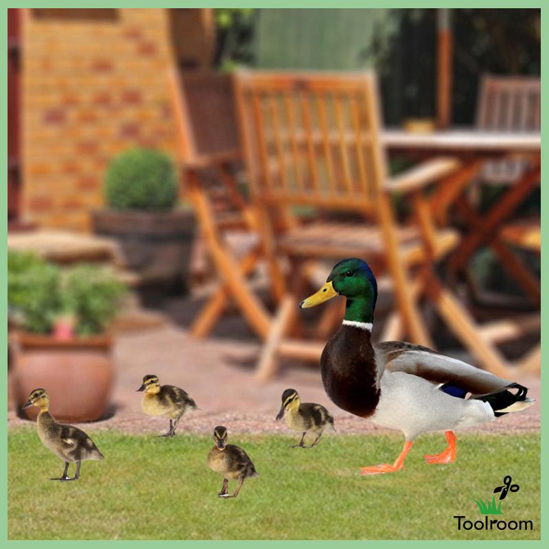 Set 5 Tượng Vịt Phẳng Điêu Khắc Trang Trí Lễ Phục Sinh