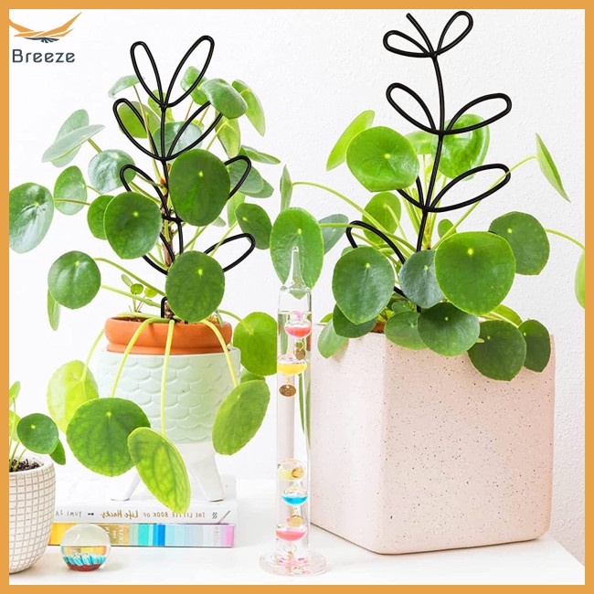 Set 4 Khung Hỗ Trợ Trồng Cây Dây Leo Trong Nhà Hình Chiếc Lá Dễ Thương