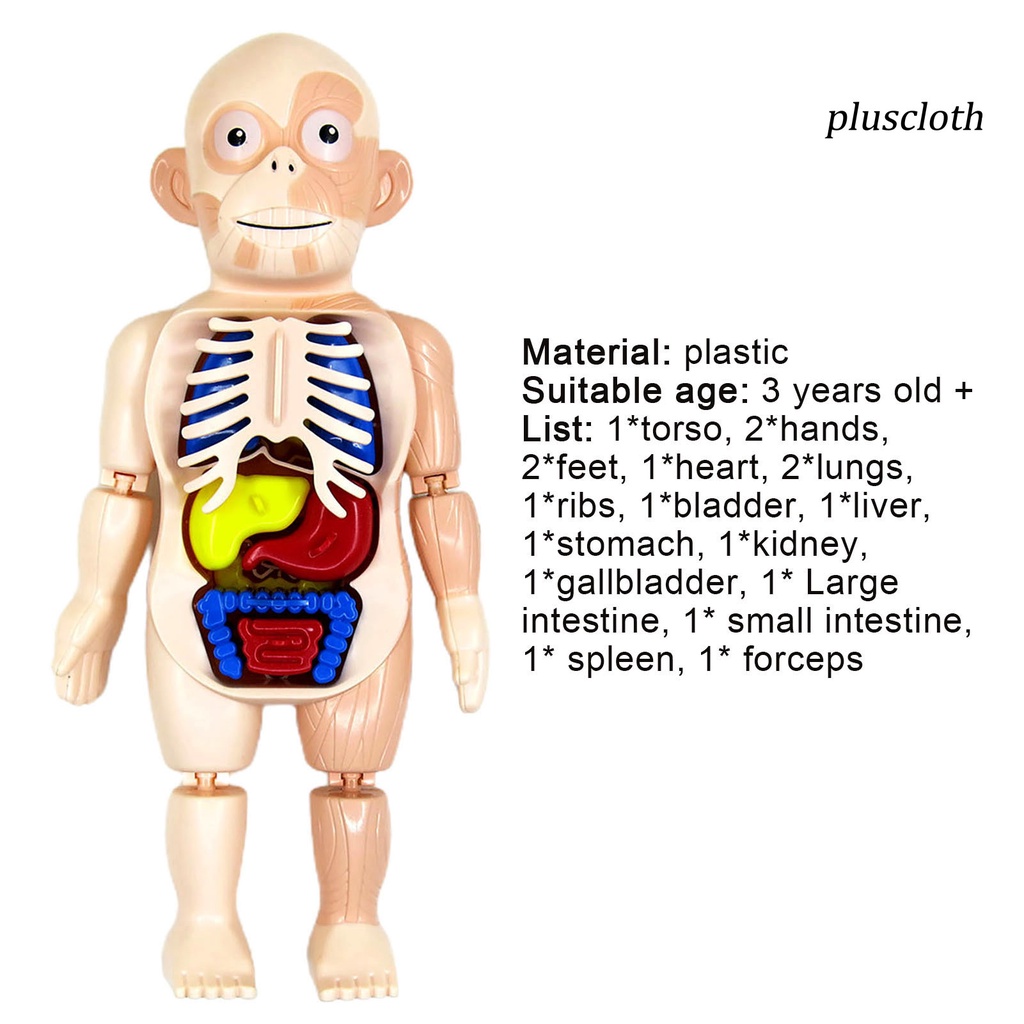Set 18 Mô Hình Đồ Chơi Đàn Organ Bằng Nhựa Có Thể Tháo Rời Cho Bé