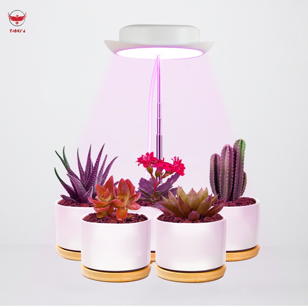 Đèn Led Trồng Cây Đa Năng Cổng USB Dùng Cho Phòng Khách / Văn Phòng