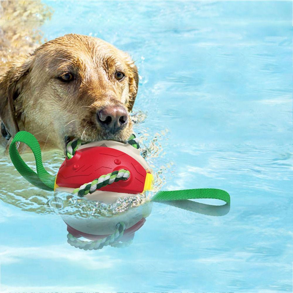 1 Trái Bóng Đồ Chơi Chống Cắn AARON1 Cho Thú Cưng