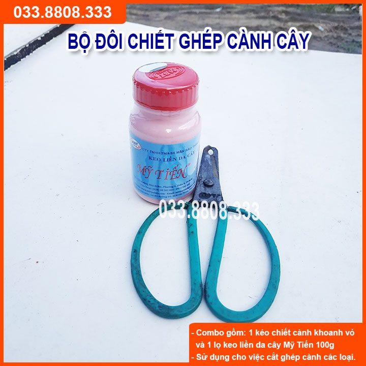 BỘ ĐÔI CHIẾT GHÉP CÀNH CÂY ( KÉO KHOANH VỎ + KEO MỸ TIẾN 100G ) - GIÚP NGĂN NGỪA VI KHUẨN, THAO TÁC LINH HOẠT