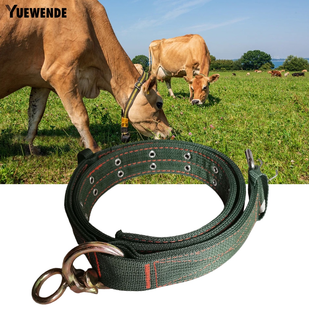 Yq.e Vòng Cổ Gia Súc Dày Bản Rộng Có Khóa Điều Chỉnh Được Bằng Nylon Cho Chó Lớn