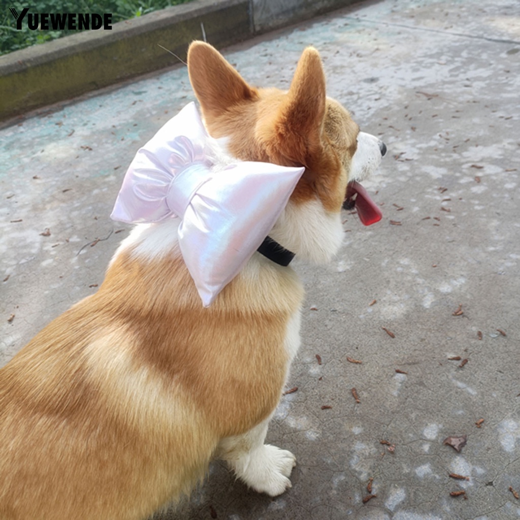 Yq.e Phụ Kiện Vòng Cổ Thắt Nơ Đáng Yêu Trọng Lượng Nhẹ Cho Thú Cưng Chụp Ảnh