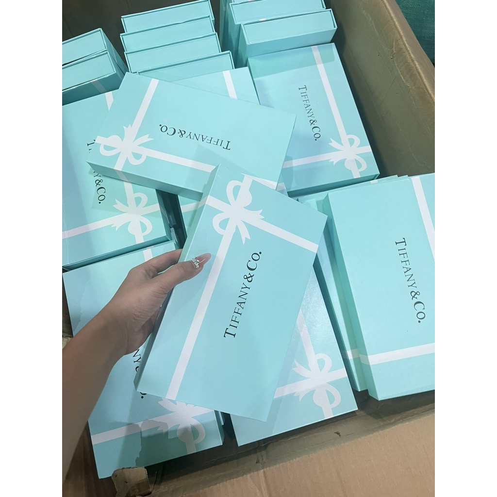 [Giá hủy diệt] Set Đũa Kèm Túi TIFFANY Set 6 Đôi Đũa Sứ Cao Cấp Tiffany Chống Trượt Chống Nấm Mốc