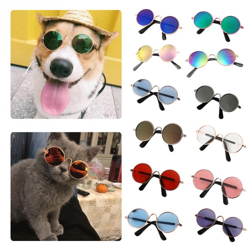 1 Kính Mát Hình Mắt Mèo Dễ Thương Dùng Chụp Ảnh Cho Thú Cưng Mắt Kính Trang Trí Chụp Ảnh Cần Thiết Cho Thú Cưng Dễ Thương