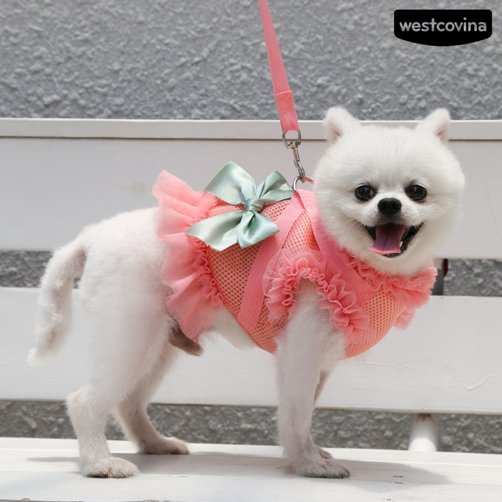 [COD]♞1 Bộ Dây Dắt Thú Cưng Đi Dạo Thiết Kế Thắt Nơ Thoáng Khí