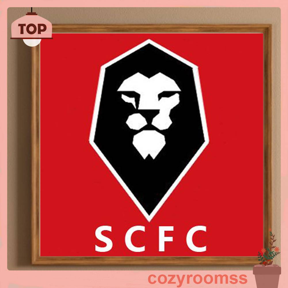 Bộ Tranh Đính Đá 5D Họa Tiết Trái Bóng Đá Độc Đáo DIY Dùng Trang Trí