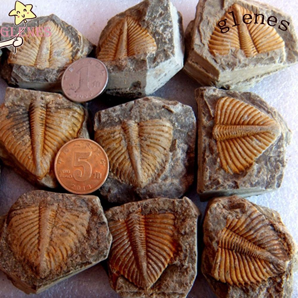 Băng Đô Balenciages Chính Hãng Đuôi Sâu Ba Phần Tự Nhiên Đa Năng DIY Bộ Dụng Cụ Làm Đồ Thủ Công Dành Cho Trẻ Em