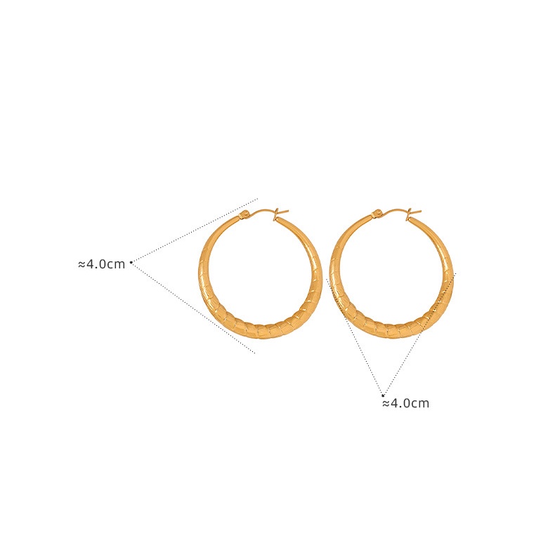 Bông Tai Thép Titan Mạ Vàng 18k Cao Cấp Không Phai Màu Phong Cách Hồng Kông Retro Cá Tính