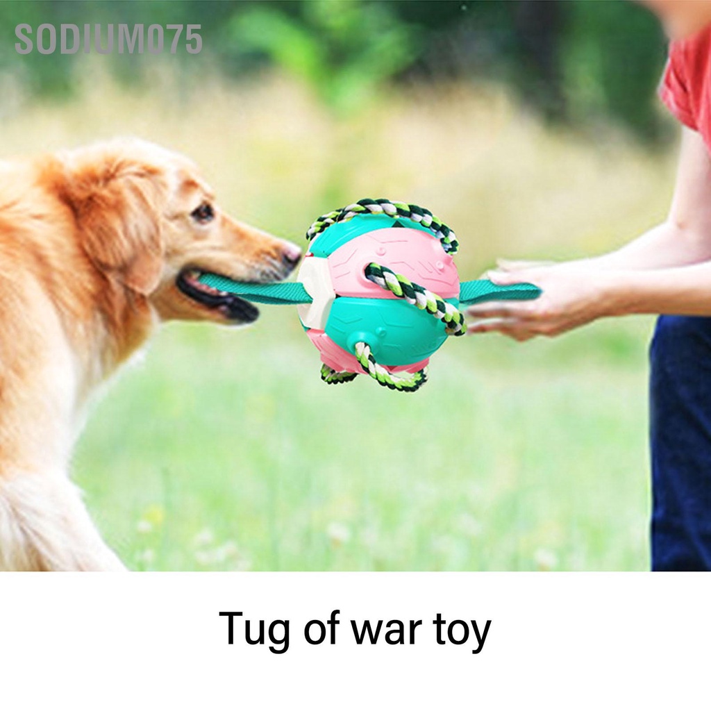 Sodium075 Bóng bay ngoài trời tương tác Quả bóng thú vị Đồ chơi đá cho chó có dây đai